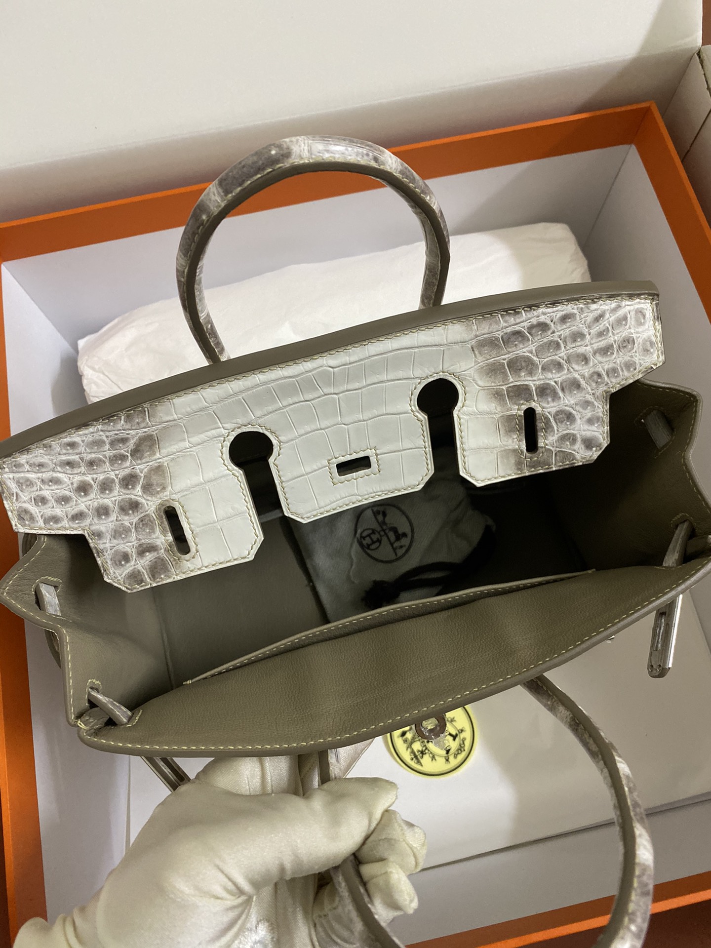 Hermes Himalayan Birkin 25CM Niloticus Crocodile Skin